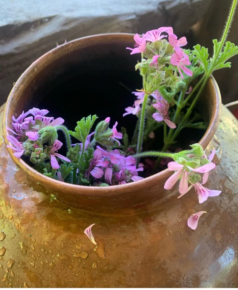 Store 2 — Sea Flower